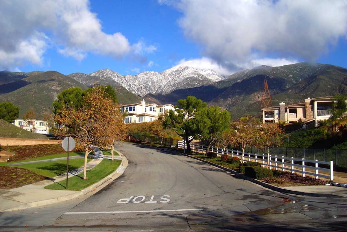 portrait of family standing together